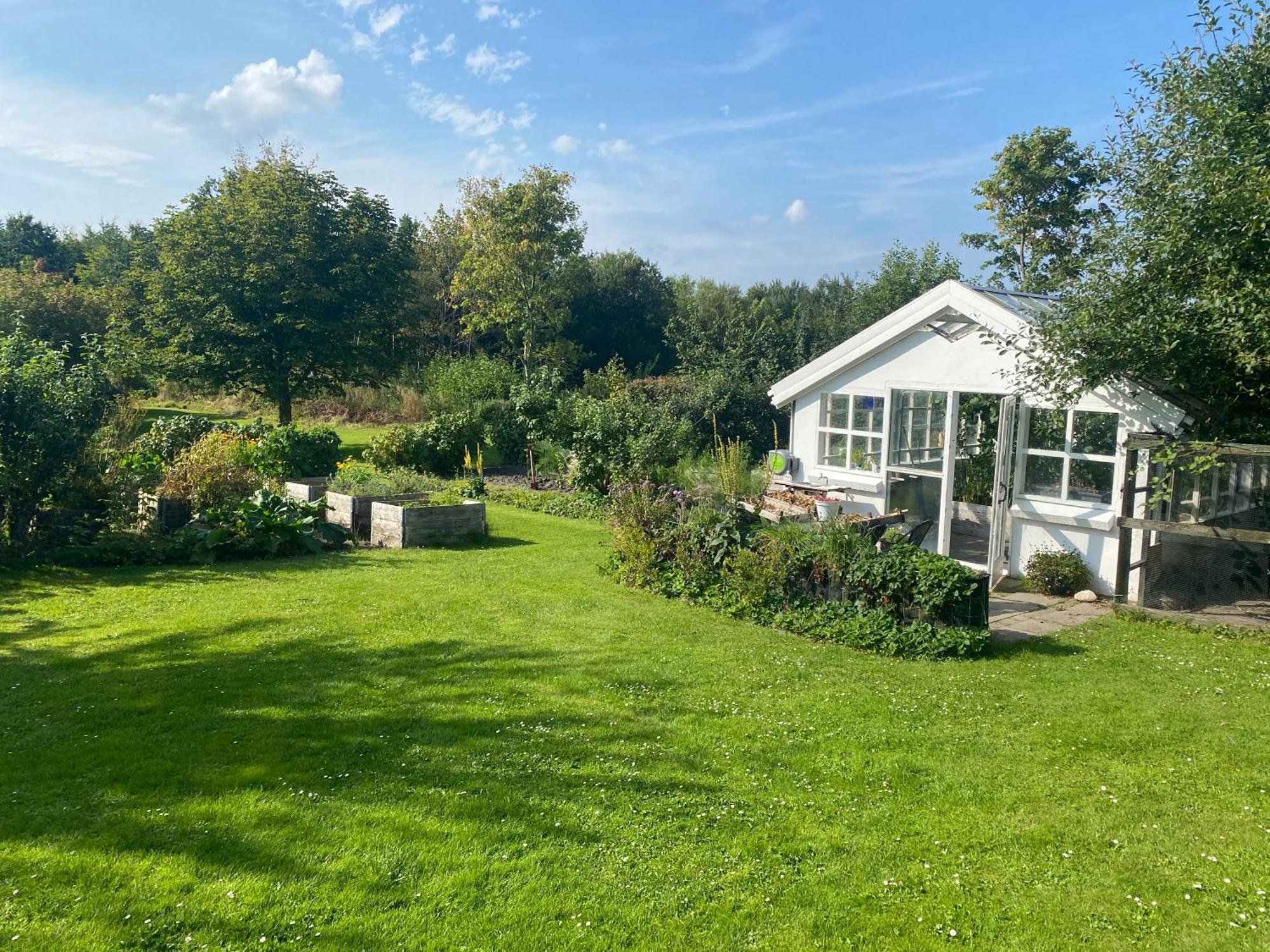 Séjour à la ferme Stutteri Skandihest Billund