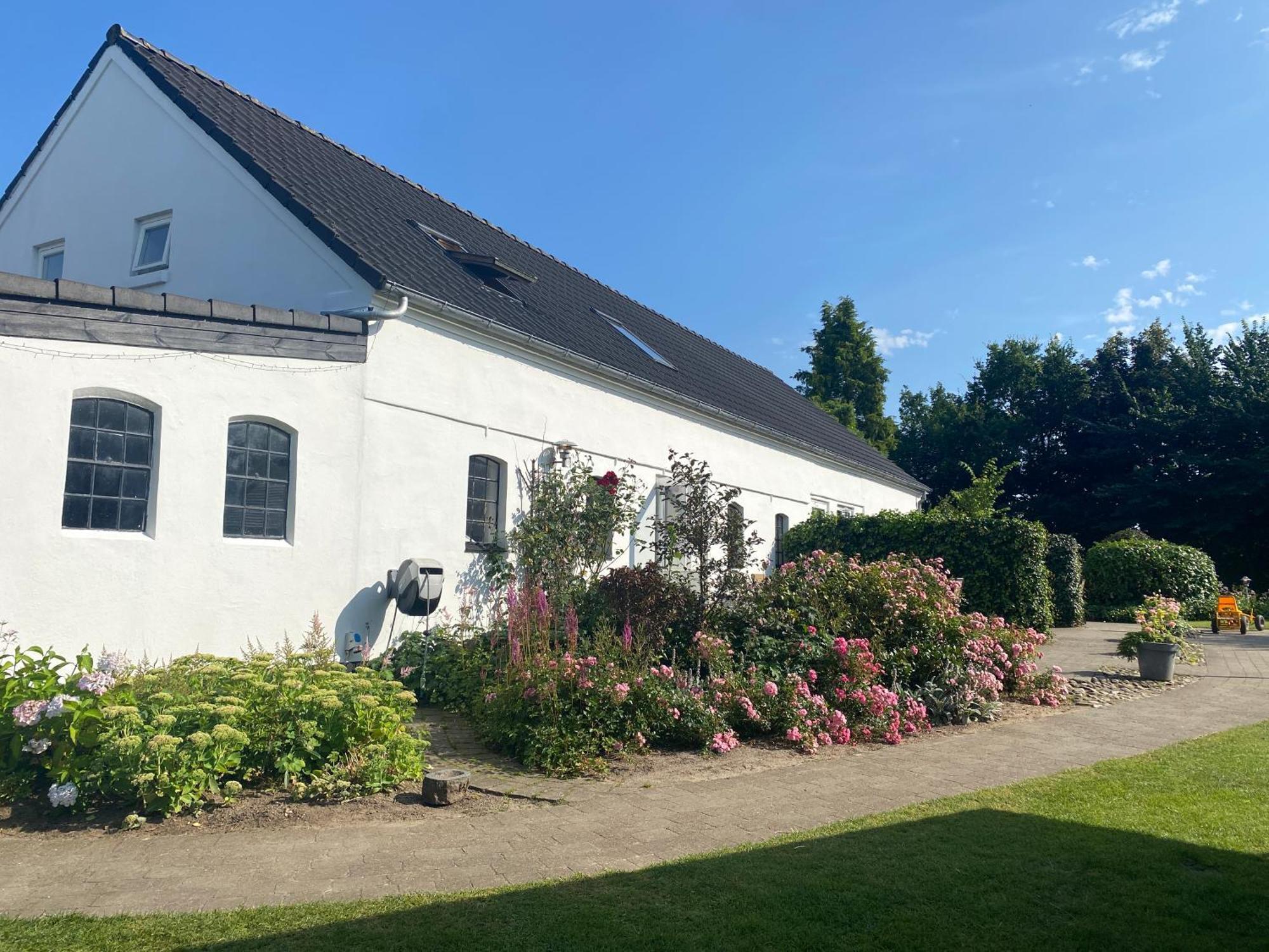 Stutteri Skandihest