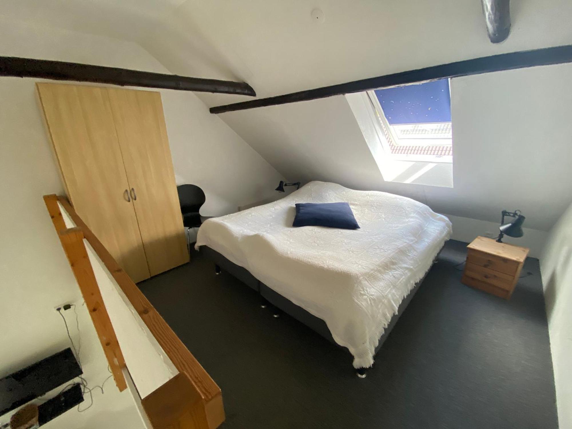 Stutteri Skandihest Billund