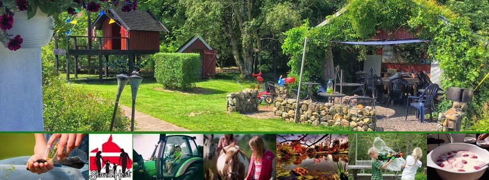 Séjour à la ferme Stutteri Skandihest *