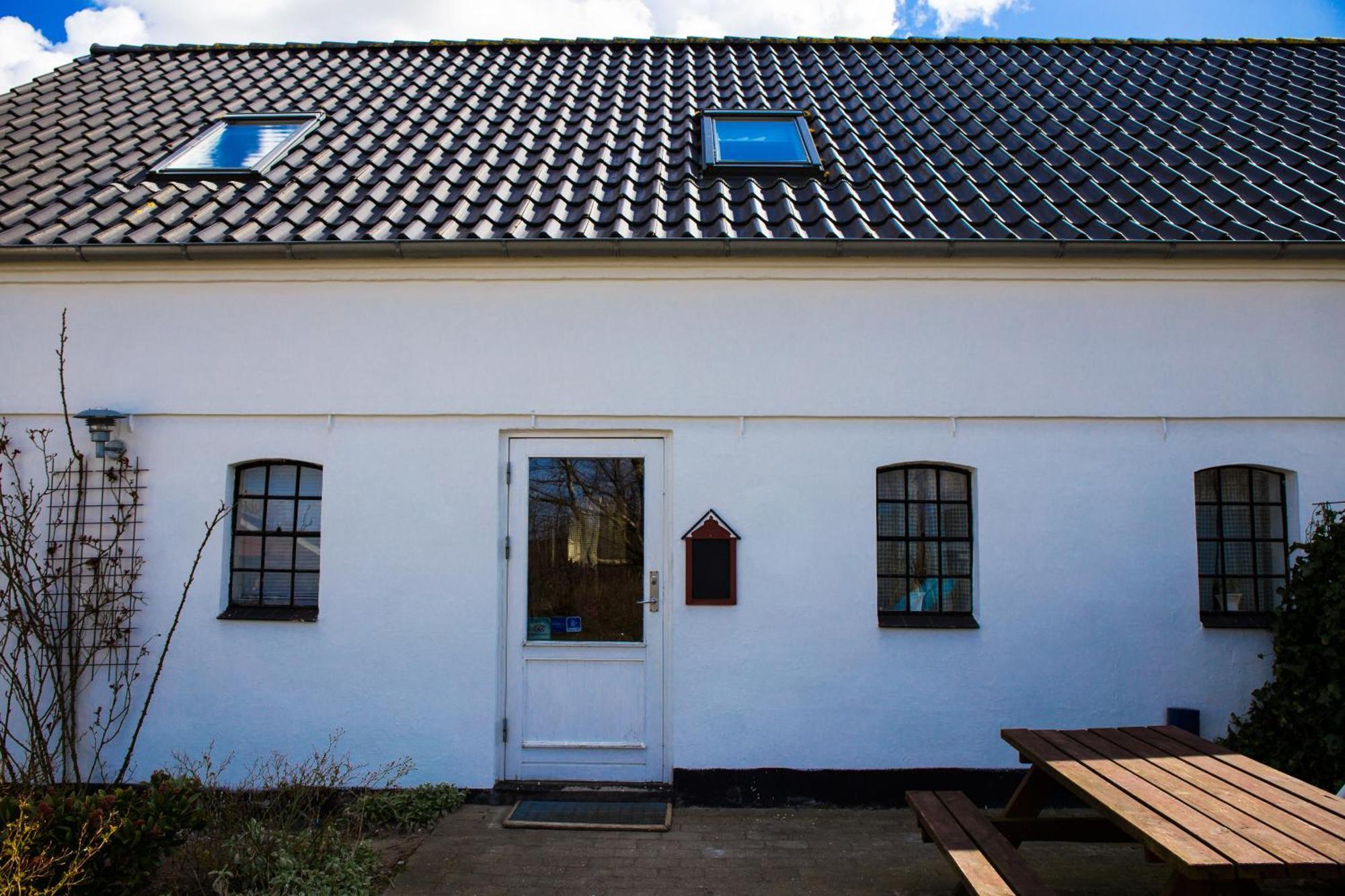 Feriegård Stutteri Skandihest *