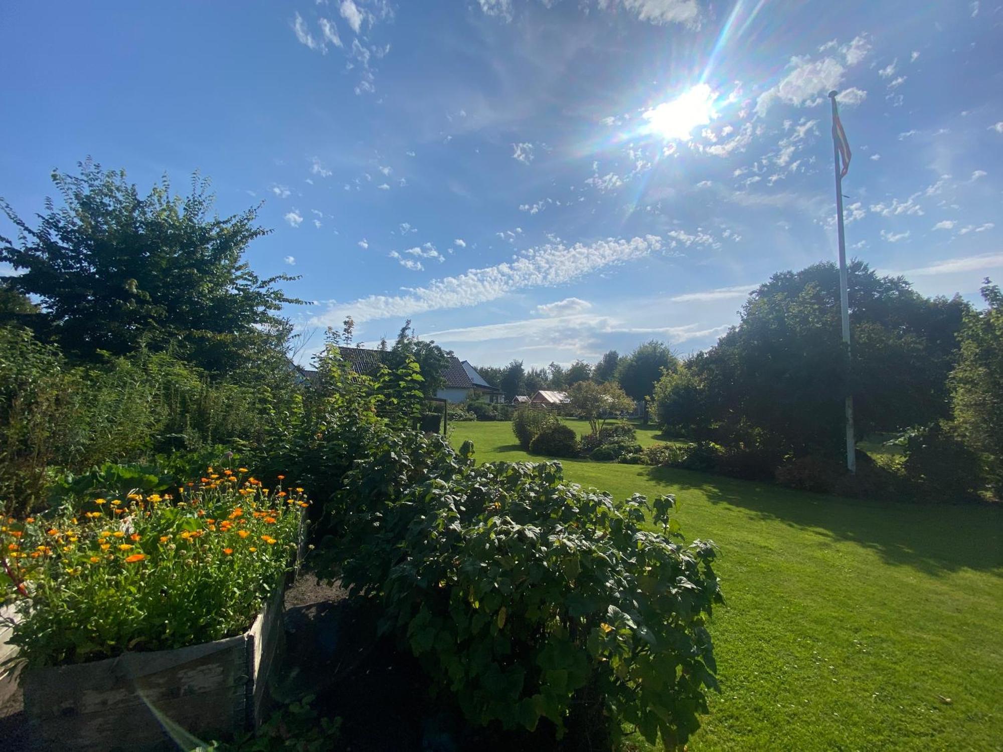Stutteri Skandihest Farm stay *