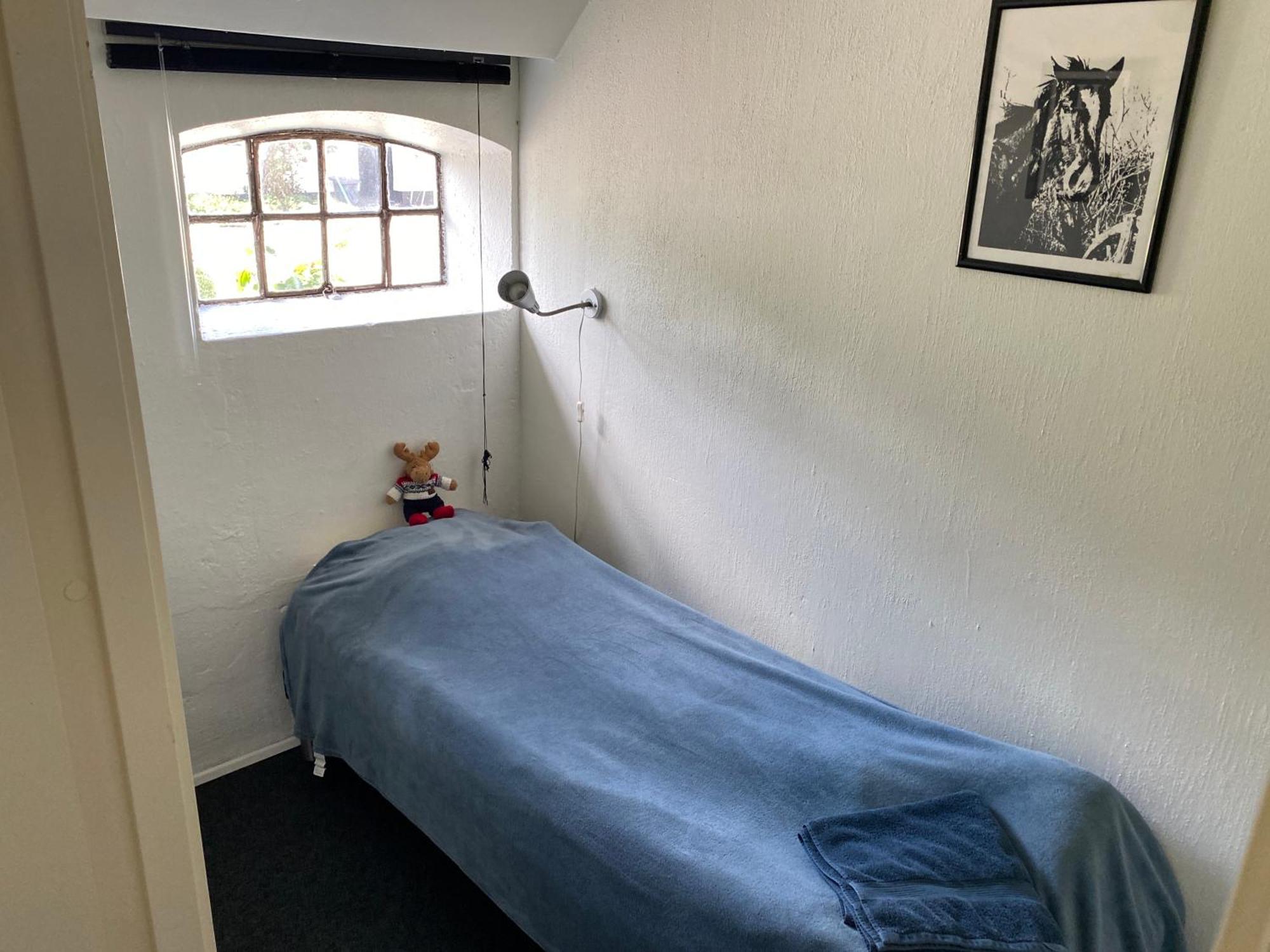 Stutteri Skandihest Feriegård *
