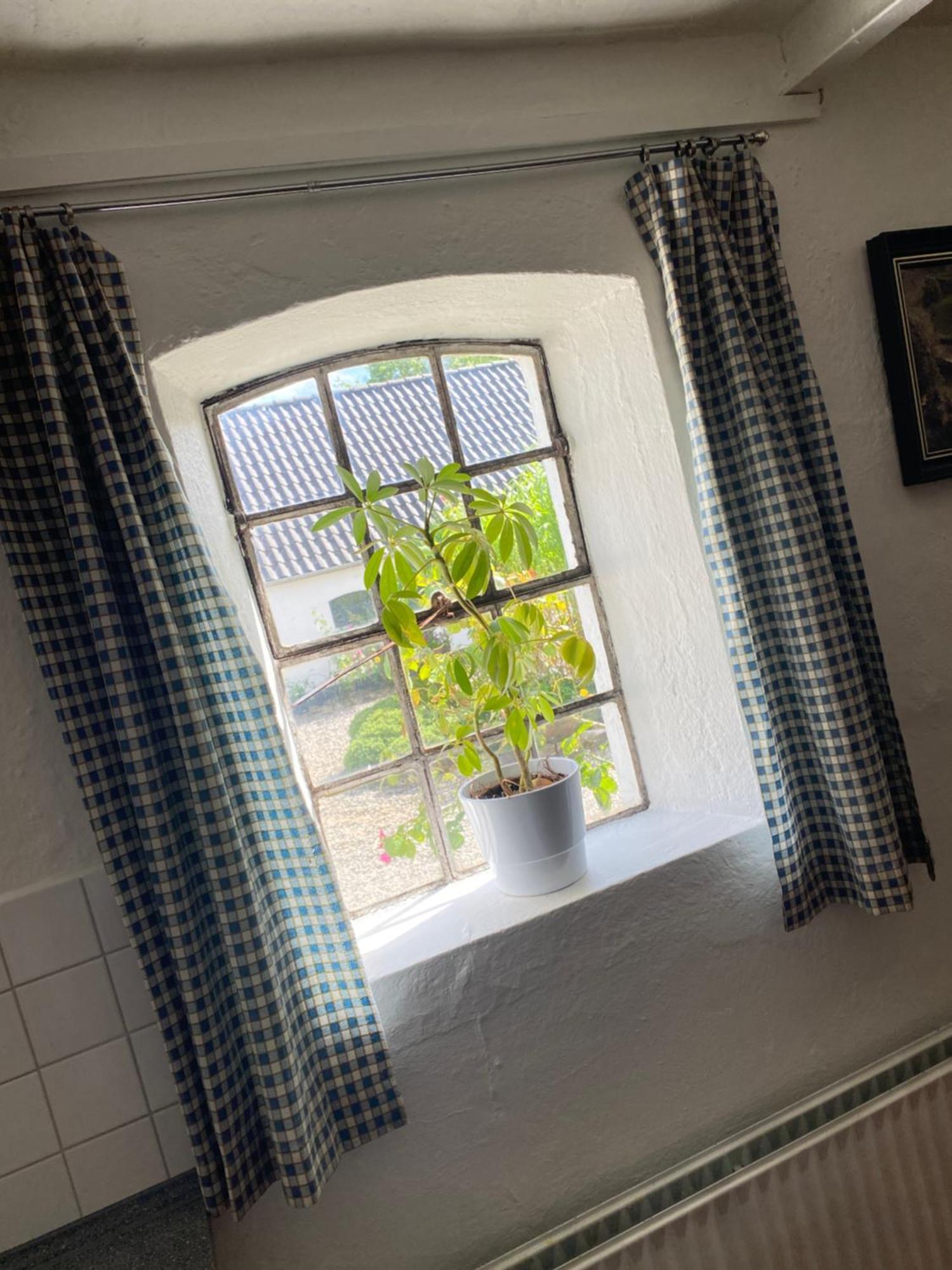 Stutteri Skandihest Farm stay Billund