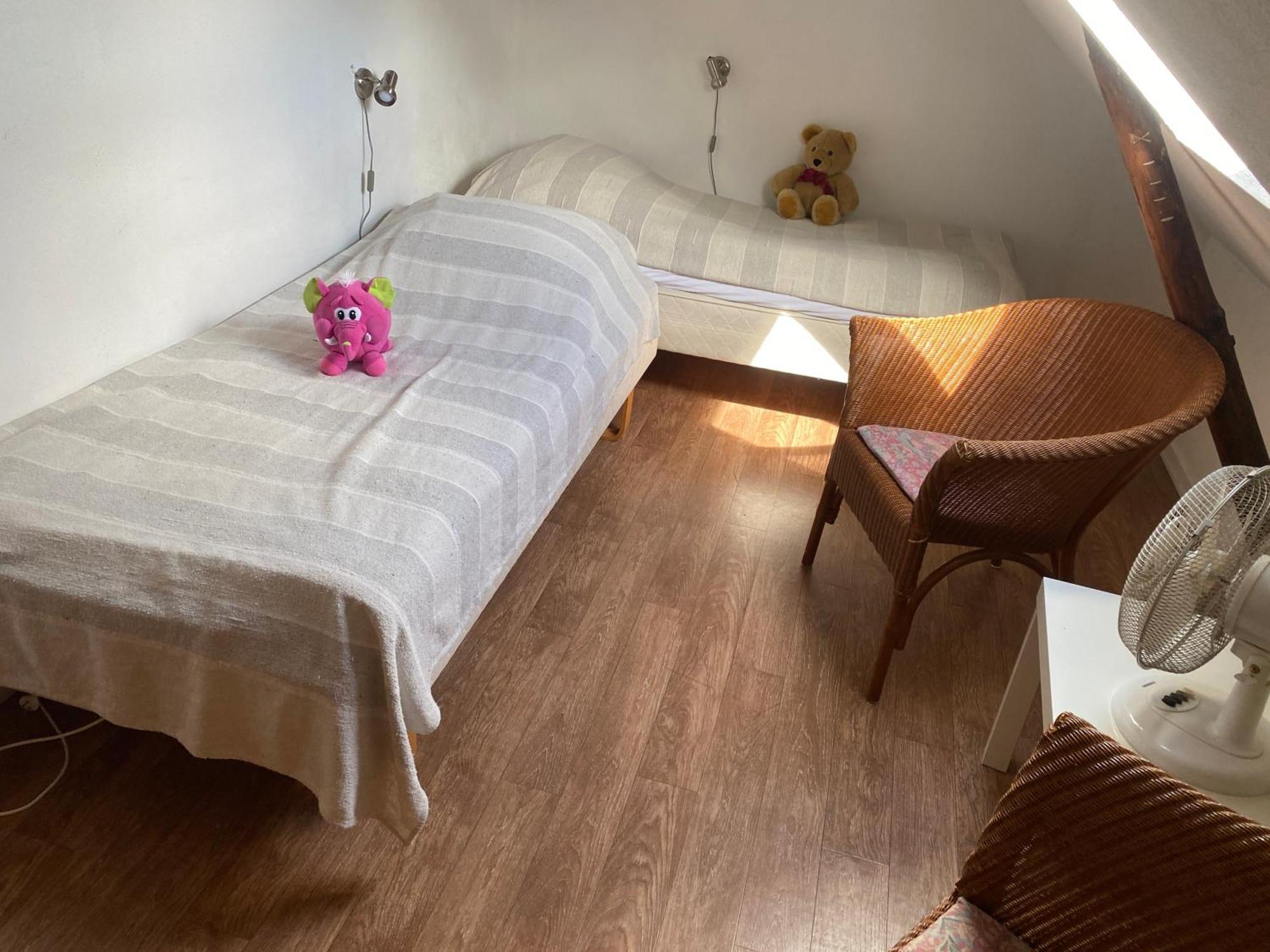 Farm stay Stutteri Skandihest Billund