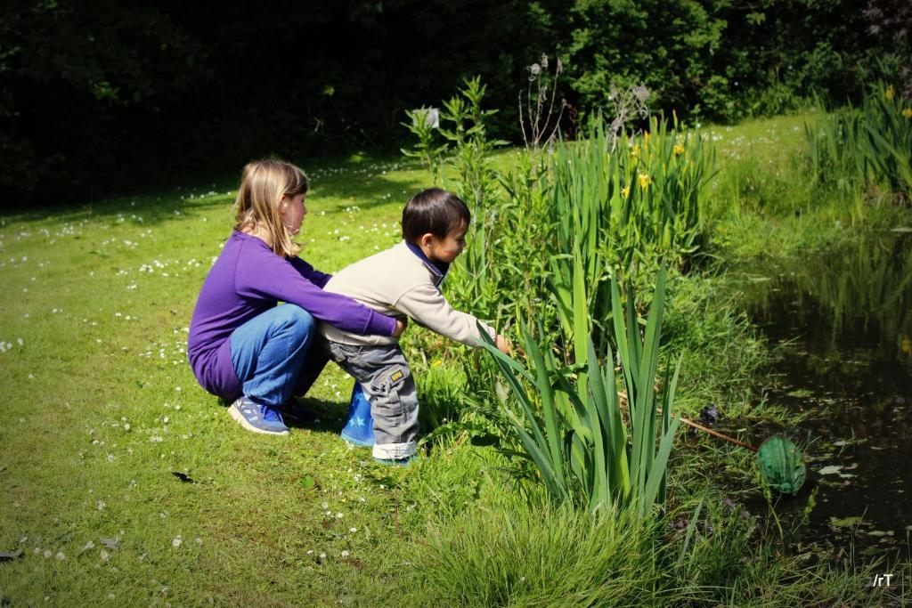 Stutteri Skandihest Farm stay Billund